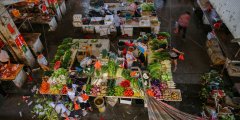 人性化農(nóng)貿(mào)市場設計，需要做到4點