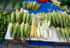 農貿市場業(yè)態(tài)規(guī)劃要點分析